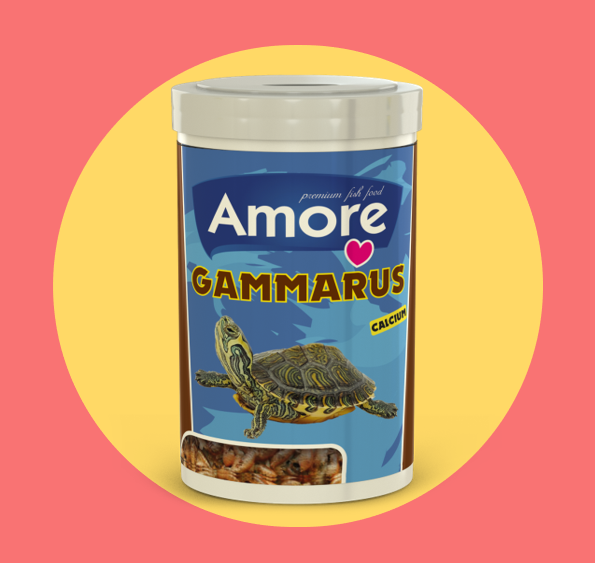 Amore Gammarus Turtle